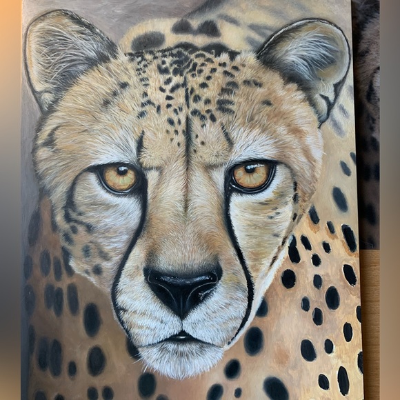 Meet your Posher, Lorena - Picture 11 of 17